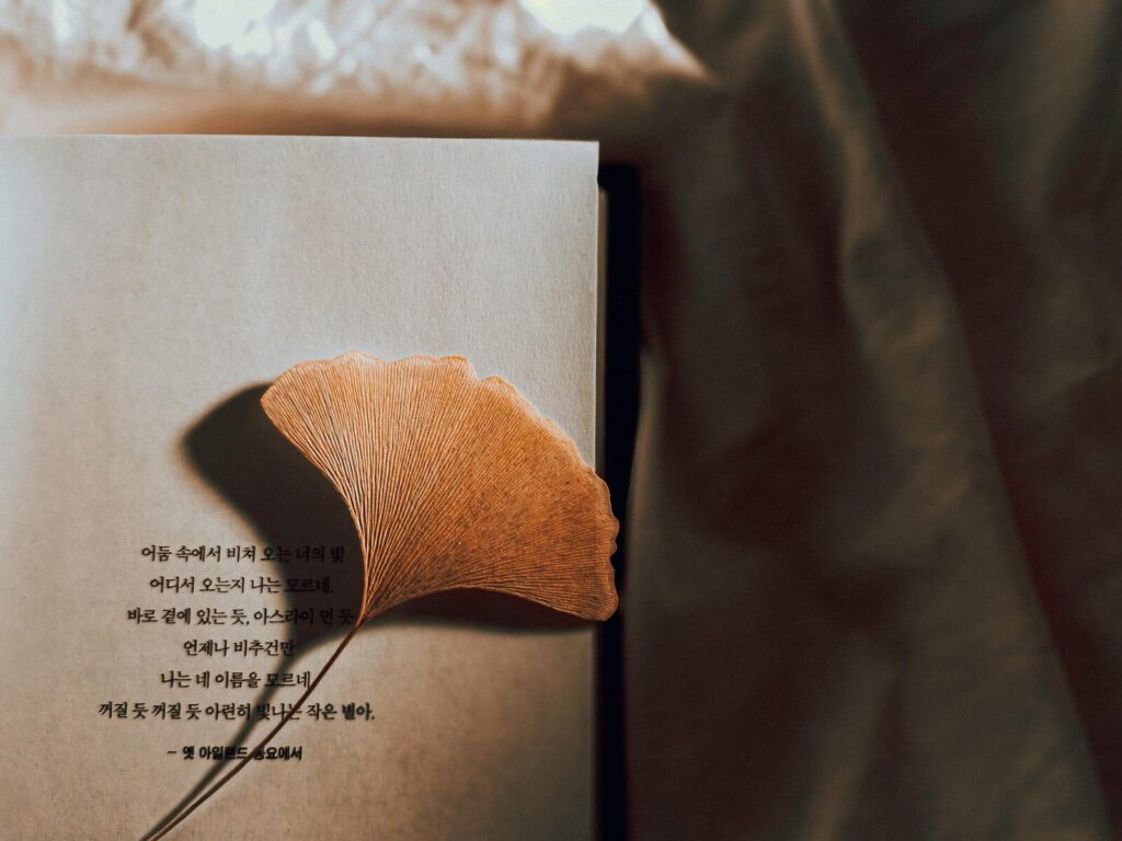 Close-up of a dried ginkgo leaf on an open book page with hangul text.